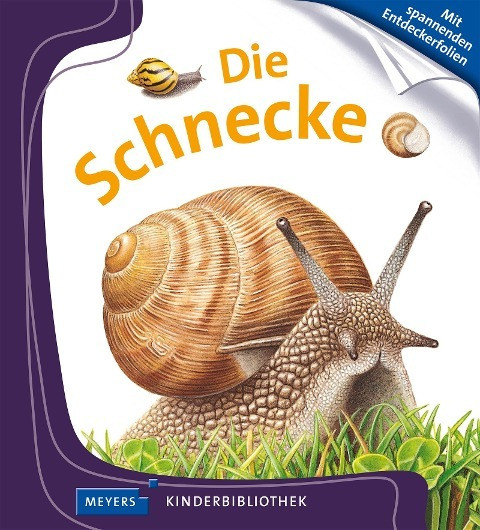 Die Schnecke