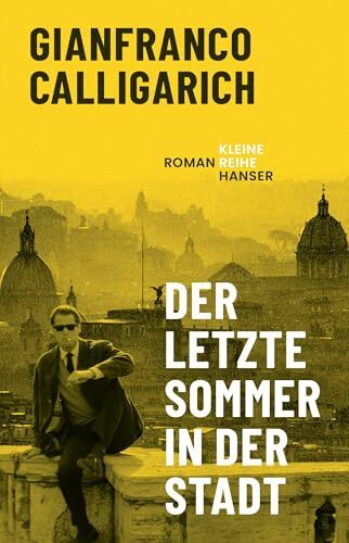 Der letzte Sommer in der Stadt: Roman (Kleine Reihe Hanser)