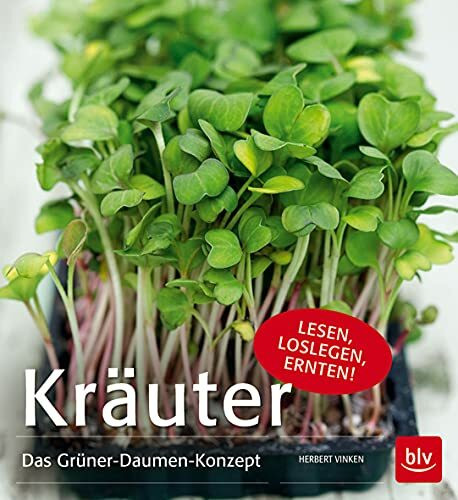 Kräuter: Das Grüner-Daumen-Konzept