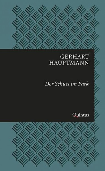 Der Schuss im Park