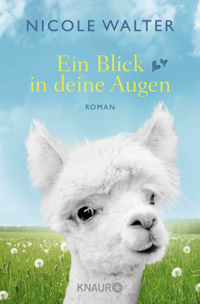 Ein Blick in deine Augen: Roman