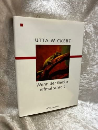 Wenn der Gecko elfmal schreit: Roman