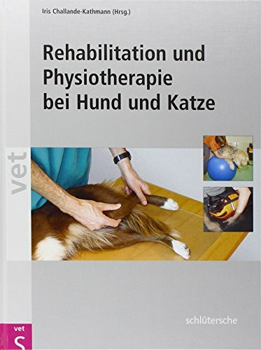 Rehabilitation und Physiotherapie bei Hund und Katze