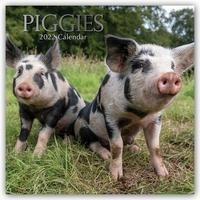 Piglets - Ferkel Schweine 2022 - 16-Monatskalender