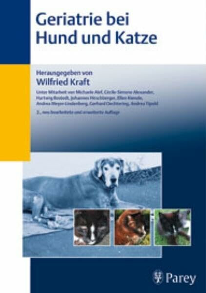 Geriatrie bei Hund und Katze