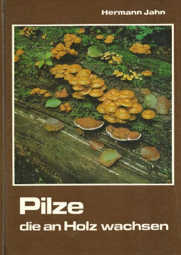 Pilze, die an Holz wachsen