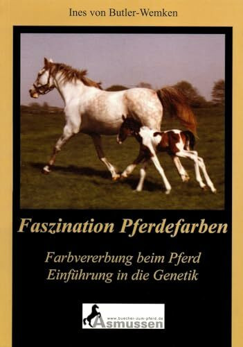 Faszination Pferdefarben: Farbvererbung beim Pferd - Einführung in die Genetik