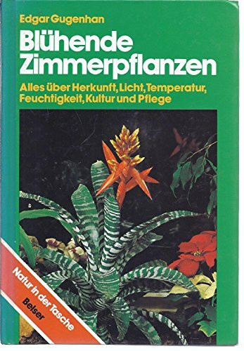 Blühende Zimmerpflanzen