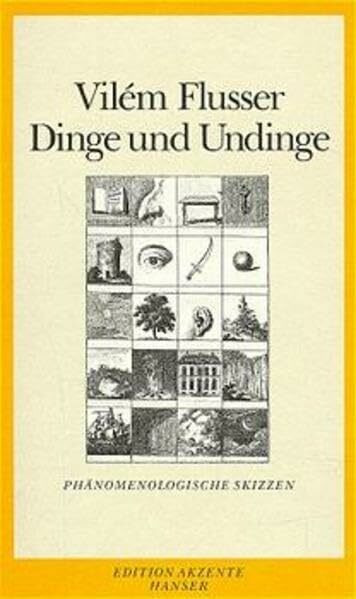 Dinge und Undinge: Phänomenologische Skizzen