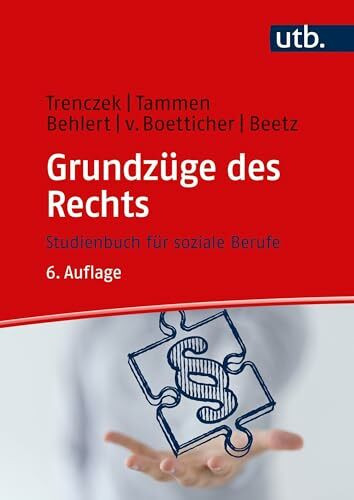 Grundzüge des Rechts. Studienbuch für soziale Berufe (Studienbücher für soziale Berufe)
