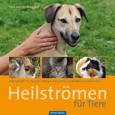 Heilströmen für Tiere Heilströmen für Tiere