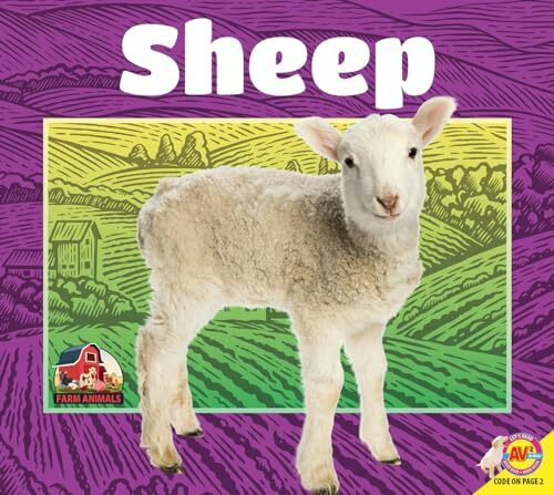 Sheep (Farm Animals)