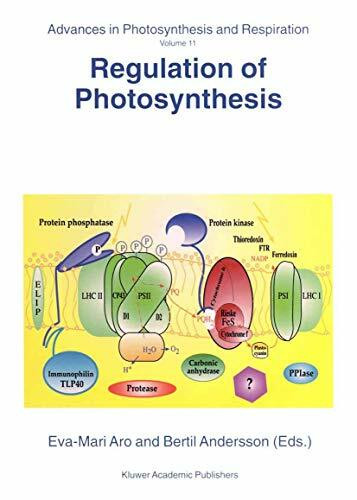 Regulation of Photosynthesis (Advances in Photosynthesis and Respiration, Band 11)