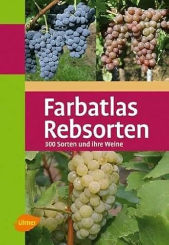 Rebsorten: 300 Sorten und ihre Weine