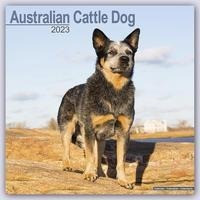 Australian Cattle Dog - Australische Cattle Dogs 2023 - 16-Monatskalender