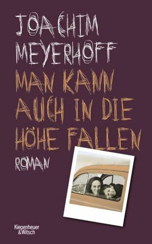Man kann auch in die Höhe fallen: Roman (Alle Toten fliegen hoch, Band 6)