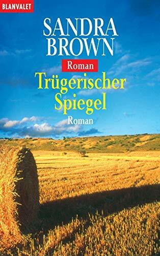 Trügerischer Spiegel: Roman