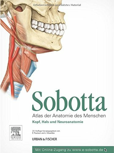 Sobotta, Atlas der Anatomie des Menschen Teil 3: Kopf, Hals und Neuroanatomie