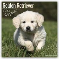 Golden Retriever Puppies - Golden Retriever-Welpen 2022 - 18-Monatskalender mit freier DogDays-App