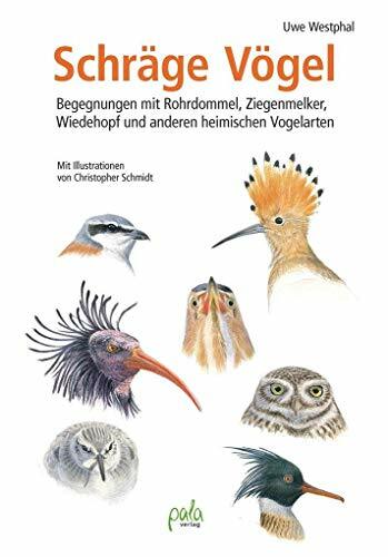 Schräge Vögel: Begegnungen mit Rohrdommel, Ziegenmelker, Wiedehopf und anderen heimischen Vogelarten Schräge Vögel: Begegnungen mit Rohrdommel, Ziegenmelker, Wiedehopf und anderen heimischen Vogelarten