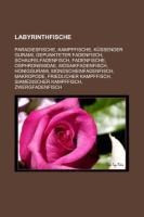 Labyrinthfische