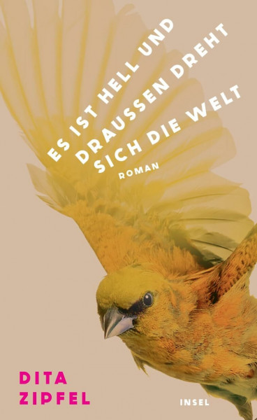 Es ist hell und draußen dreht sich die Welt: Roman | Über die explosive Kraft zweier Frauen, die sich verbünden