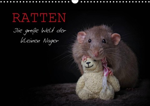 Ratten. Die große Welt der kleinen Nager (Wandkalender 2022 DIN A3 quer)