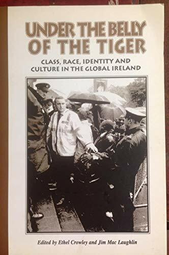 Under the belly of the tiger: Class, race, identity, and culture in the global Ireland (Irish reporter publications making history series)