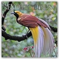 Exotik Birds - Exotische Vögel 2022 - 16-Monatskalender
