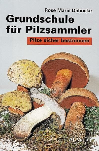 Grundschule für Pilzsammler, Pilze sicher bestimmen