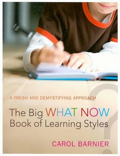 The Big What Now Book of Learning Styles: A Fresh and Demystifying Approach