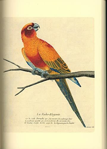 Geschichte der Vögel