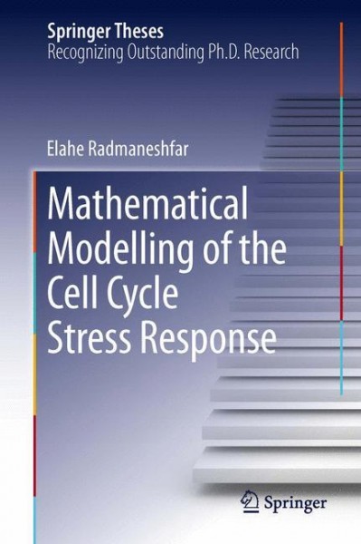 Mathematical Modelling of the Cell Cycle Stress Response