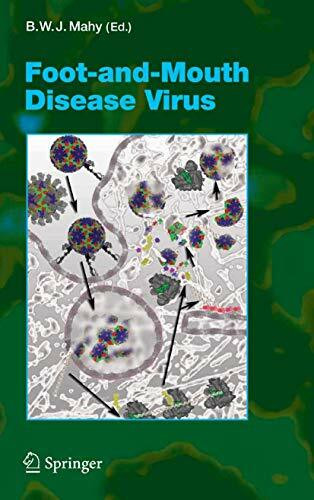 Foot-and-Mouth Disease Virus (Current Topics in Microbiology and Immunology, 288, Band 288)