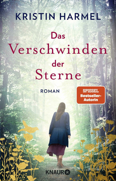 Das Verschwinden der Sterne: Roman