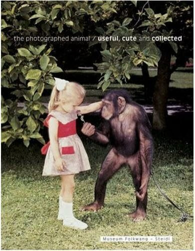 The Photographed Animal: Useful, Cute And Collected