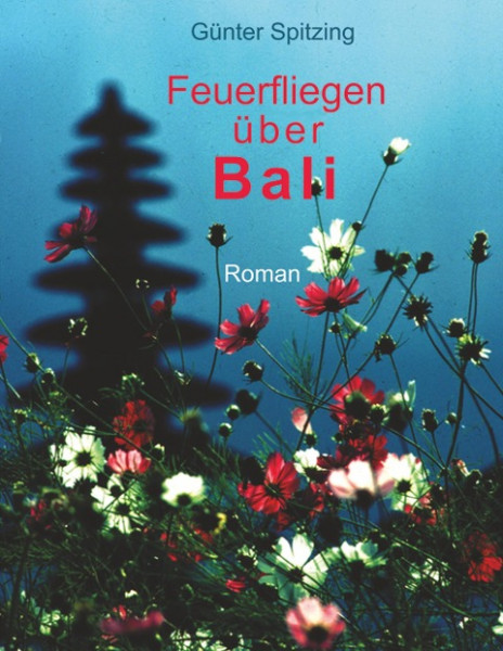 Feuerfliegen über Bali