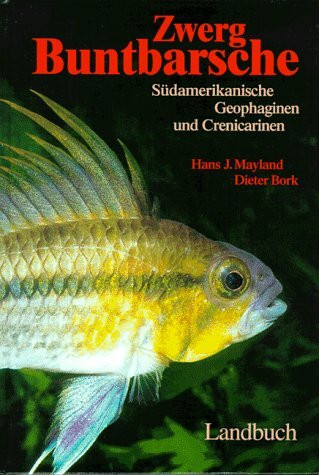 South American Dwarf Cichlids