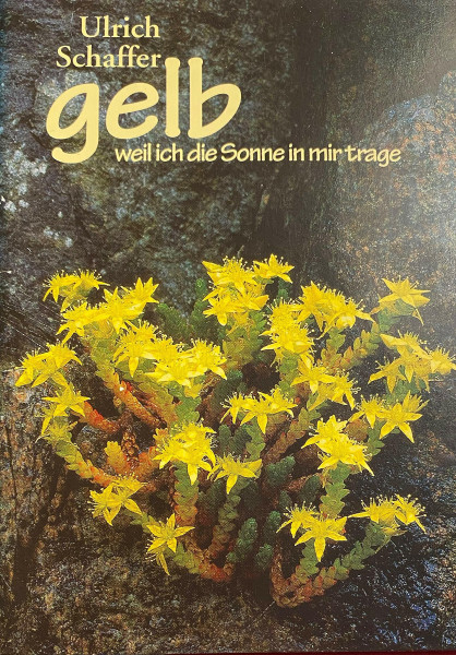 Gelb, weil ich die Sonne in mir trage