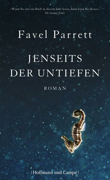 Jenseits der Untiefen: Roman