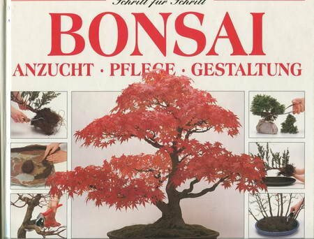 Bonsai: Anzucht, Pflege, Gestaltung