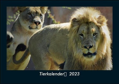 Tierkalender 2023 Fotokalender DIN A5