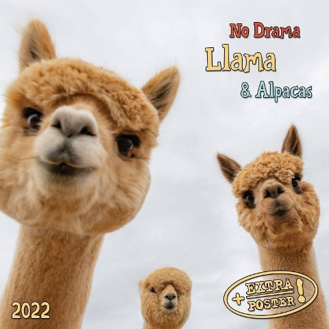 Llama no Drama 2022