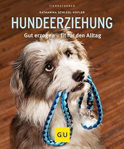 Hundeerziehung: Gut erzogen - fit für den Alltag