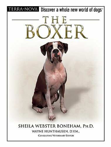 The Boxer (The Terra Nova Series)