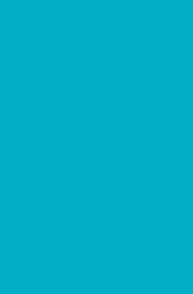 The Executive Guide to Artificial Intelligence
