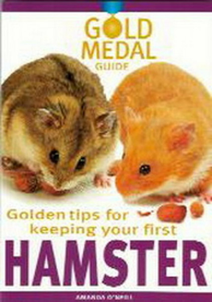 Golden Tips for Keeping Your First Hamster (Gold Medal Guide)