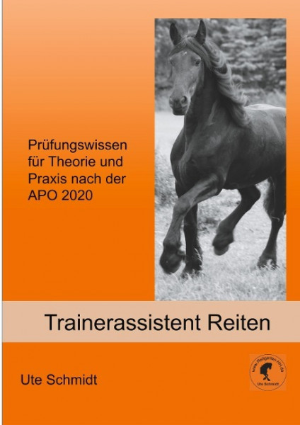 Trainerassistent Reiten