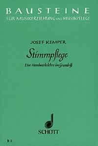 Stimmpflege: Eine Handwerkslehre im Grundriss. (B 2) (Bausteine für Musikerziehung und Musikpflege: Schriftenreihe)