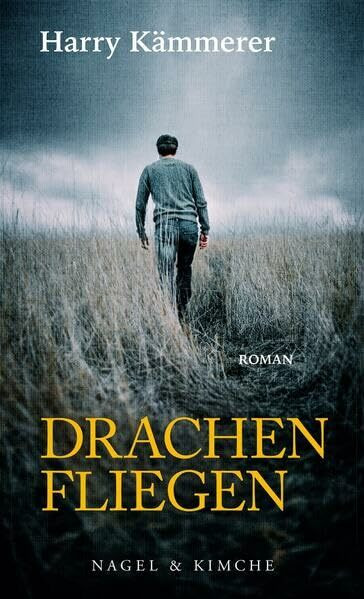 Drachenfliegen: Roman